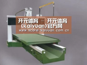 产品名称十