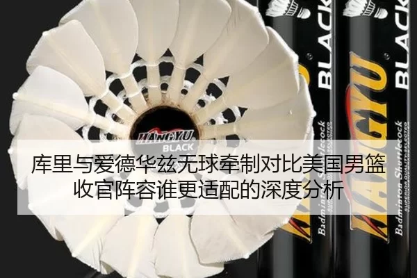 库里与爱德华兹无球牵制对比美国男篮收官阵容谁更适配的深度分析